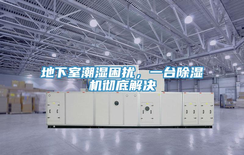 地下室潮濕困擾，一臺除濕機徹底解決