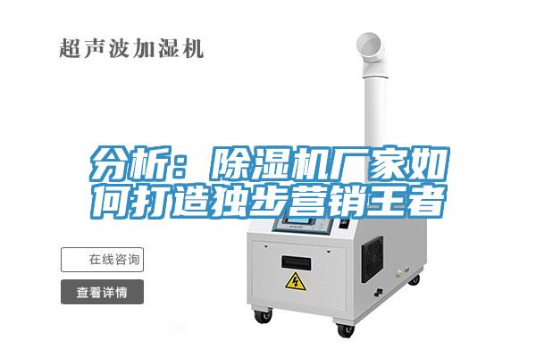 分析:除濕機(jī)廠家如何打造獨(dú)步營(yíng)銷王者