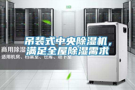 吊裝式中央除濕機(jī),滿足全屋除濕需求