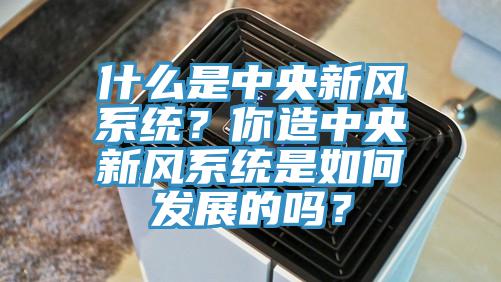 什么是中央新風系統?你造中央新風系統是如何發展的嗎?