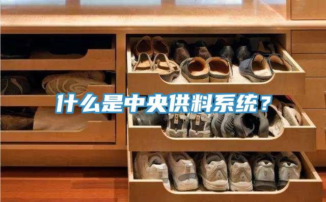 什么是中央供料系統(tǒng)?