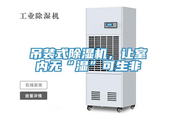 吊裝式除濕機,讓室內無“濕”可生非