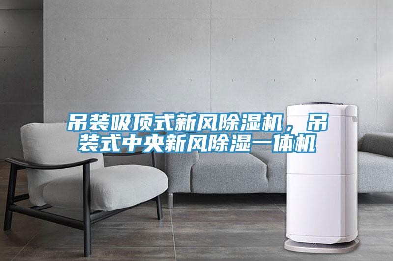 吊裝吸頂式新風(fēng)除濕機(jī),吊裝式中央新風(fēng)除濕一體機(jī)