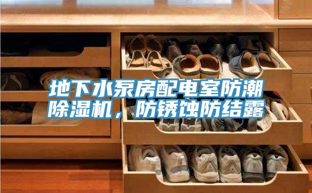地下水泵房配電室防潮除濕機,防銹蝕防結露