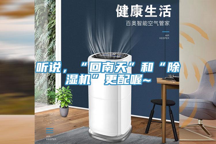 聽(tīng)說(shuō),“回南天”和“除濕機(jī)”更配喔~