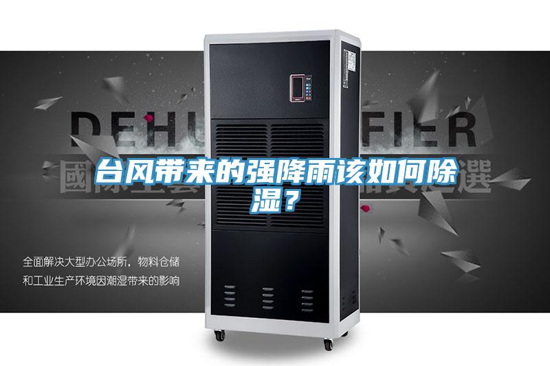 臺風帶來的強降雨該如何除濕？