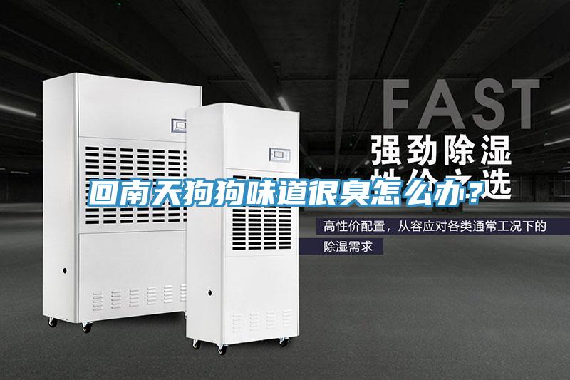 回南天狗狗味道很臭怎么辦？