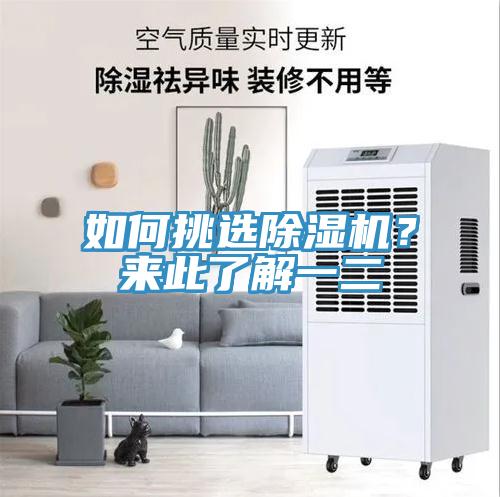 如何挑選除濕機?來此了解一二
