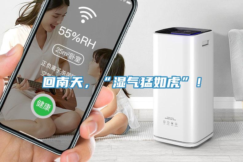 回南天,“濕氣猛如虎”!