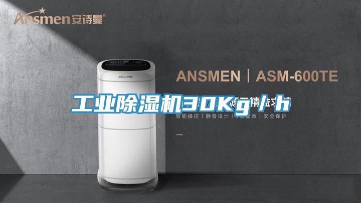 工業(yè)除濕機30Kg/h