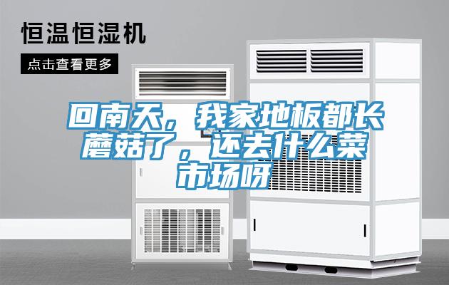 回南天,我家地板都長(zhǎng)蘑菇了,還去什么菜市場(chǎng)呀