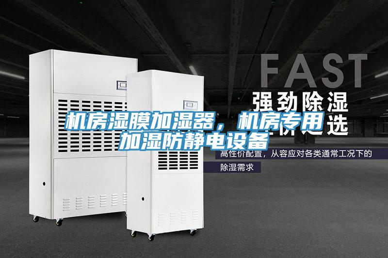 機(jī)房濕膜加濕器,機(jī)房專用加濕防靜電設(shè)備