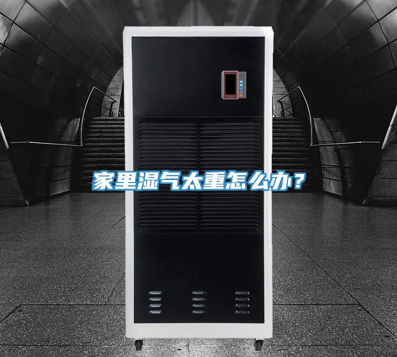 家里濕氣太重怎么辦?