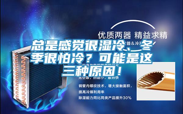 總是感覺很濕冷、冬季很怕冷?可能是這三種原因!
