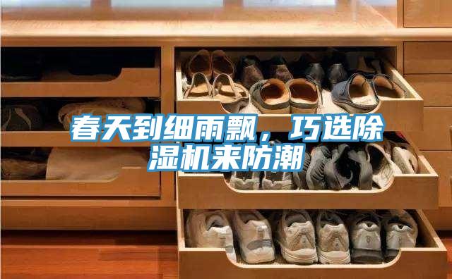 春天到細雨飄,巧選除濕機來防潮