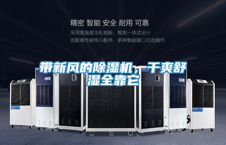 帶新風的除濕機,干爽舒濕全靠它