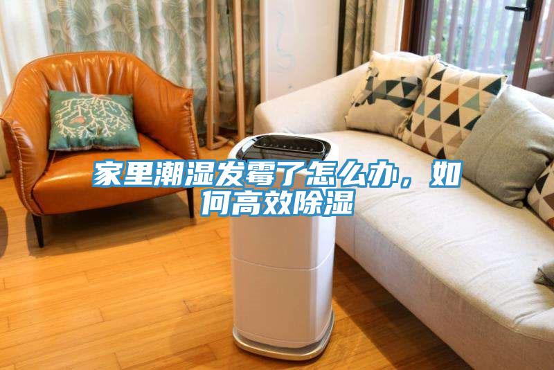 家里潮濕發霉了怎么辦,如何高效除濕