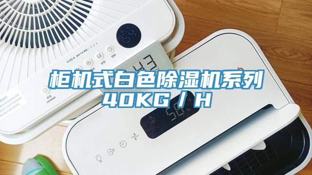 柜機式白色除濕機系列40KG/H