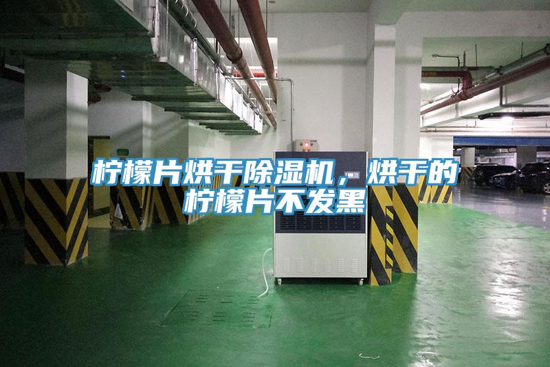 檸檬片烘干除濕機,烘干的檸檬片不發黑