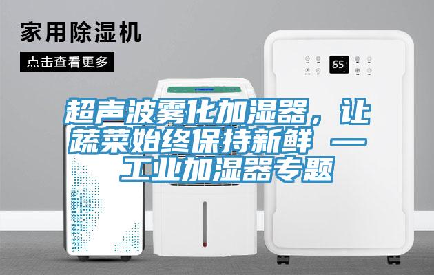 超聲波霧化加濕器,讓蔬菜始終保持新鮮 — 工業加濕器專題
