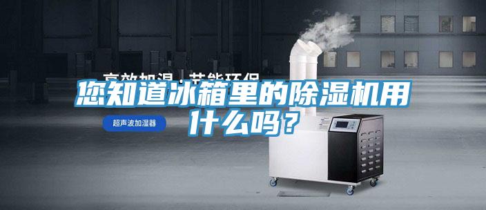 您知道冰箱里的除濕機用什么嗎?