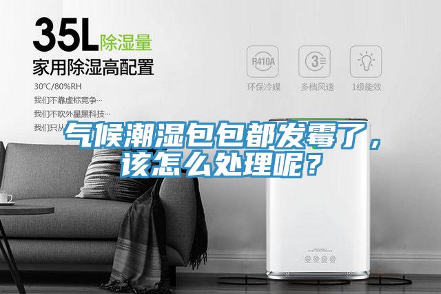 氣候潮濕包包都發(fā)霉了,該怎么處理呢?