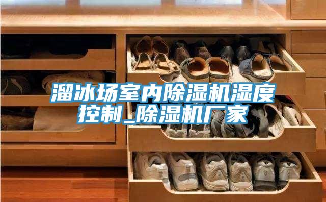 溜冰場室內除濕機濕度控制_除濕機廠家