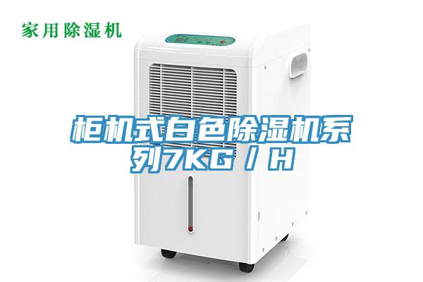 柜機式白色除濕機系列7KG/H