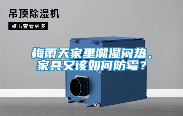 梅雨天家里潮濕悶熱,家具又該如何防霉?