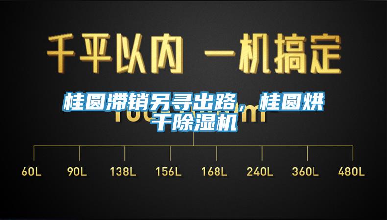 桂圓滯銷另尋出路,桂圓烘干除濕機