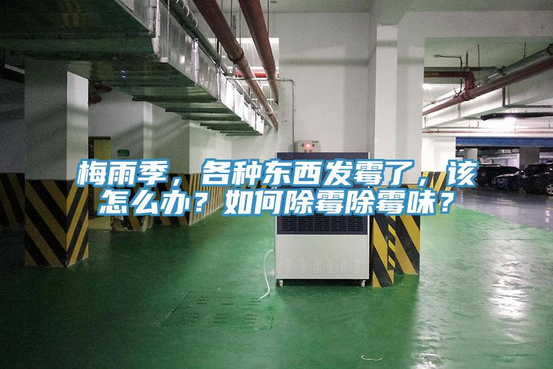 梅雨季,各種東西發霉了,該怎么辦?如何除霉除霉味?