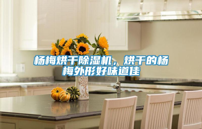 楊梅烘干除濕機，烘干的楊梅外形好味道佳