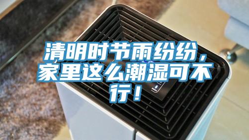 清明時節(jié)雨紛紛,家里這么潮濕可不行!