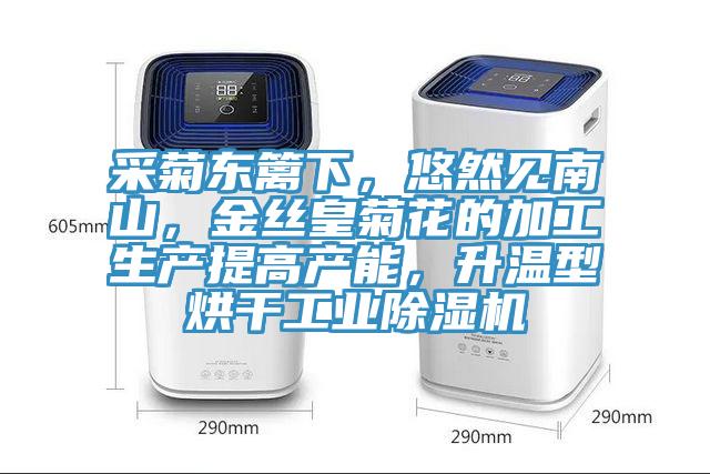采菊東籬下，悠然見南山，金絲皇菊花的加工生產提高產能，升溫型烘干工業除濕機