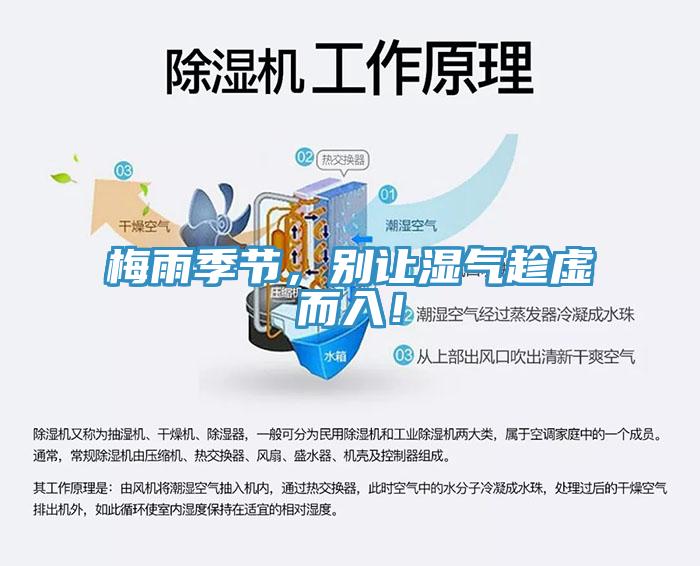 梅雨季節,別讓濕氣趁虛而入!