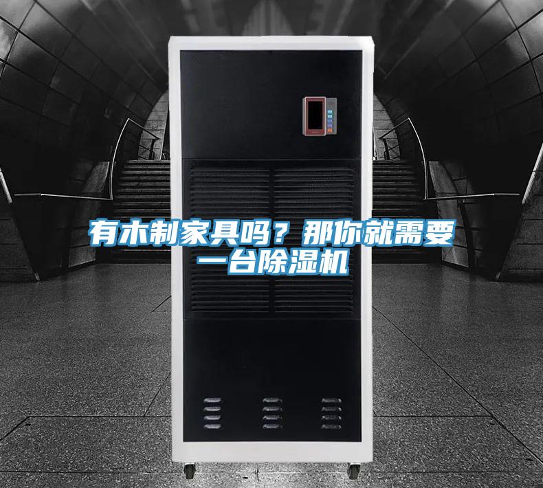 有木制家具嗎？那你就需要一臺(tái)除濕機(jī)
