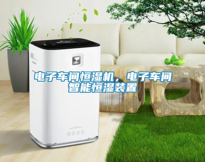 電子車間恒濕機,電子車間智能恒濕裝置