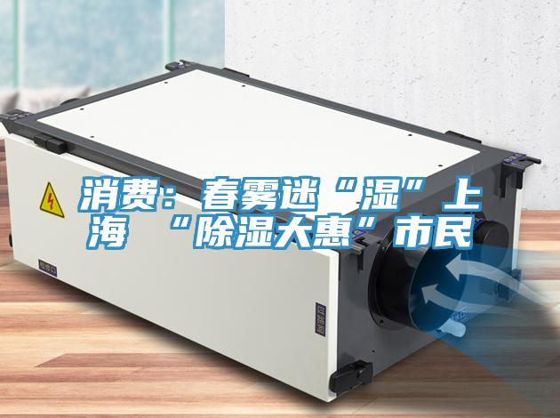 消費:春霧迷“濕”上海 “除濕大惠”市民