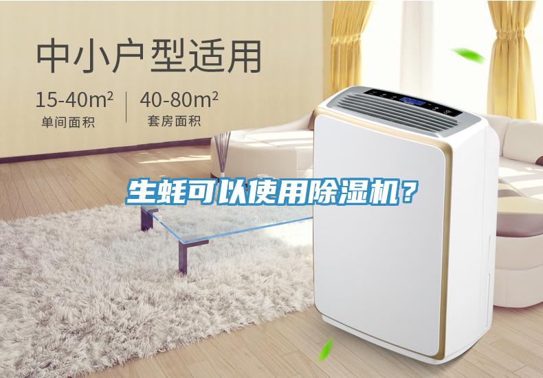 生蠔可以使用除濕機？