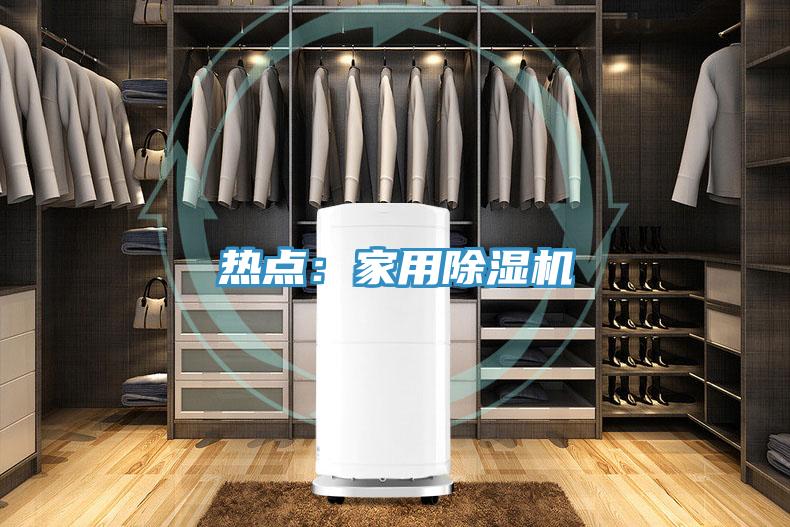 熱點:家用除濕機