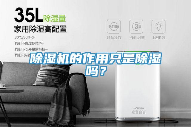 除濕機(jī)的作用只是除濕嗎?