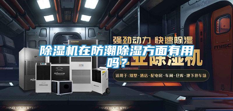 除濕機在防潮除濕方面有用嗎?