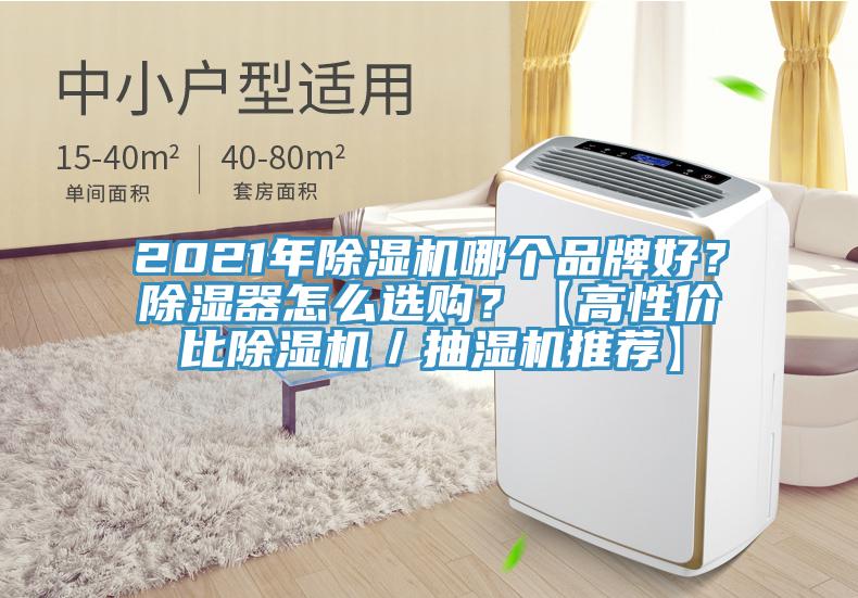 2021年除濕機哪個品牌好?除濕器怎么選購?【高性價比除濕機/抽濕機推薦】