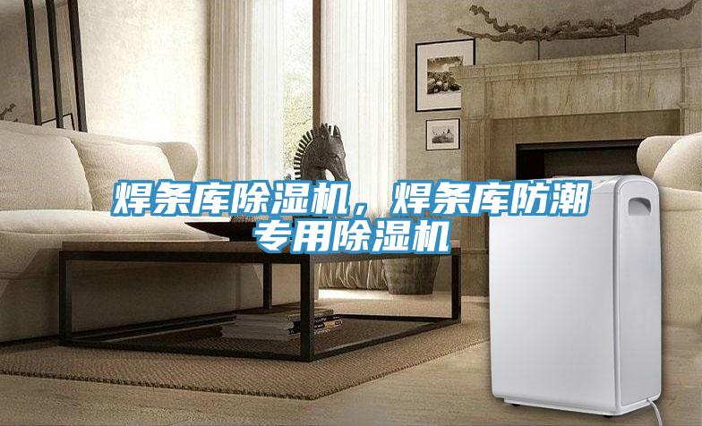 焊條庫除濕機，焊條庫防潮專用除濕機