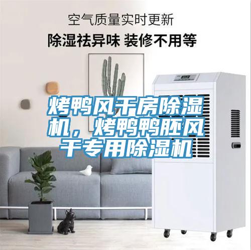 烤鴨風干房除濕機,烤鴨鴨胚風干專用除濕機