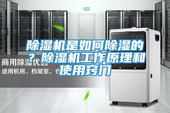 除濕機(jī)是如何除濕的?除濕機(jī)工作原理和使用竅門
