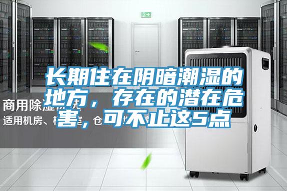 長期住在陰暗潮濕的地方，存在的潛在危害，可不止這5點