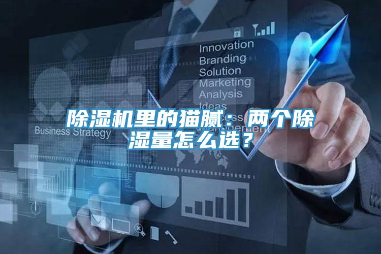 除濕機里的貓膩:兩個除濕量怎么選?