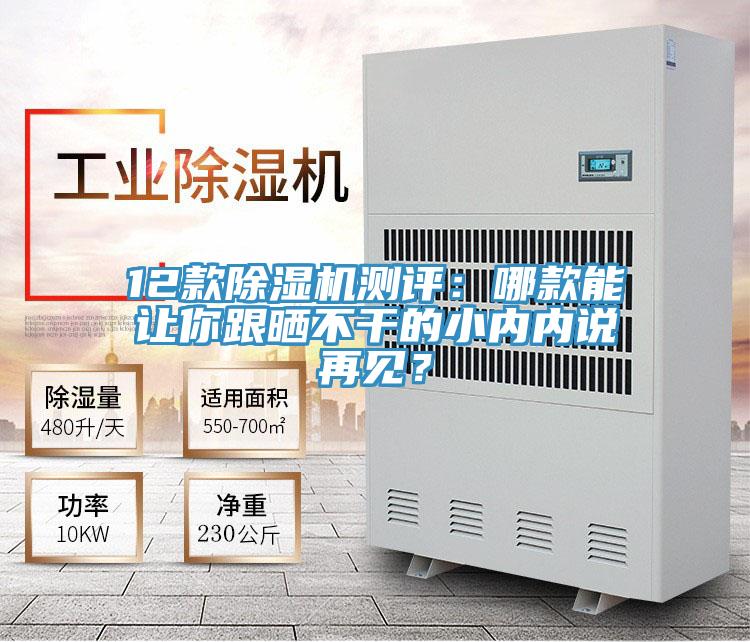 12款除濕機測評:哪款能讓你跟曬不干的小內內說再見?