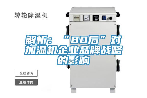 解析:“80后”對加濕機企業(yè)品牌戰(zhàn)略的影響